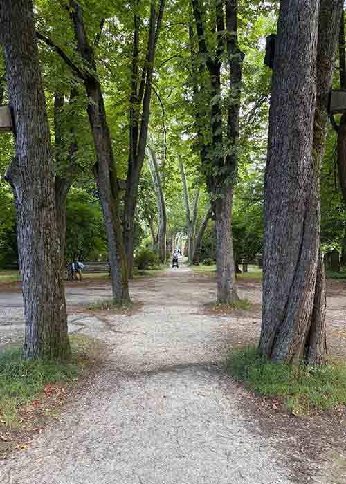 Freiburg Butanischer Garten