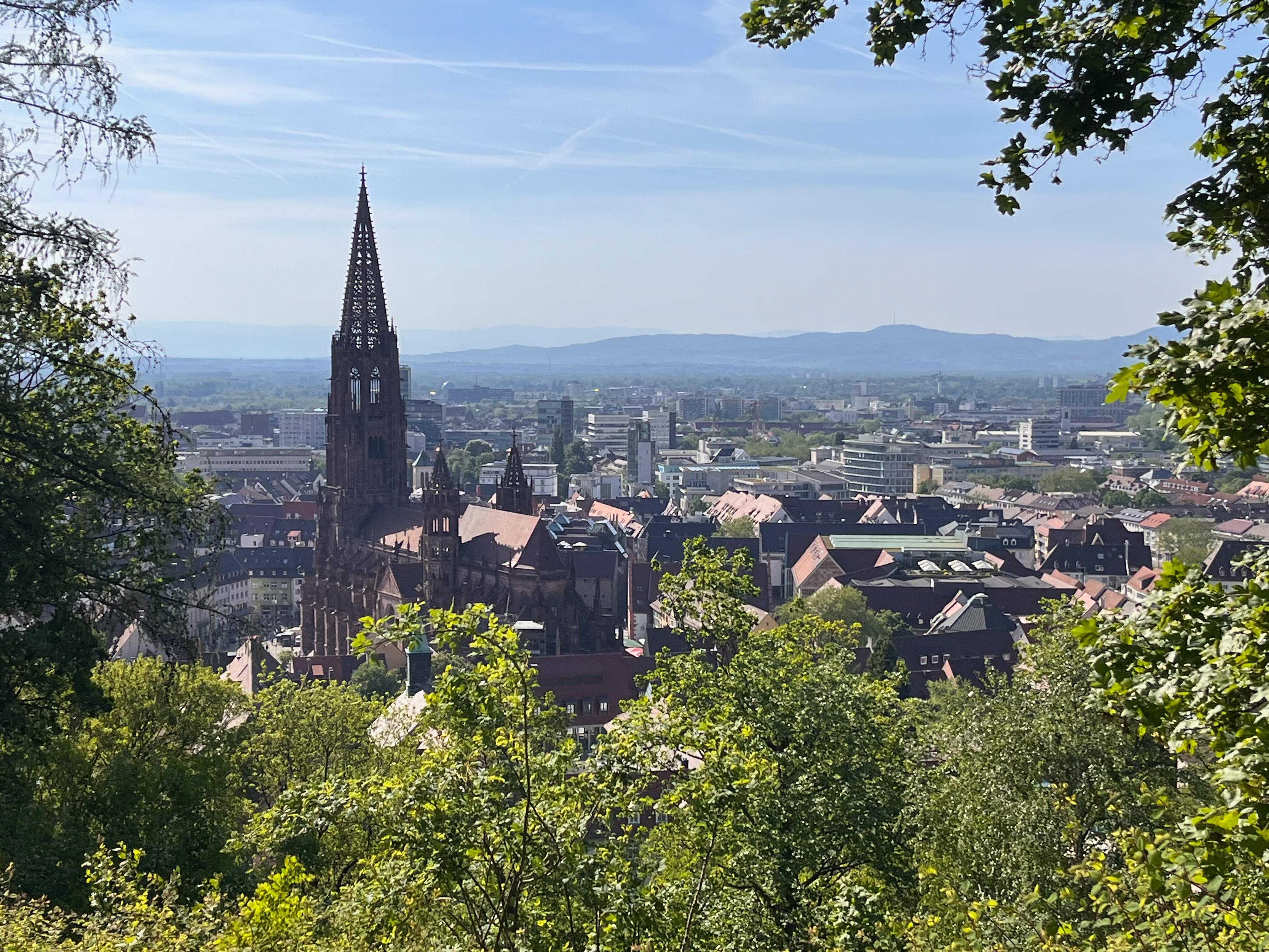 Freiburger Münster Schlossberg